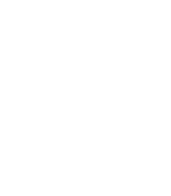 Orca Logo Transparent Bckg